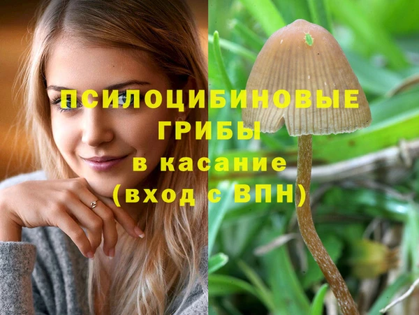 гидропоника Абдулино