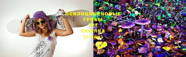 гидропоника Абдулино