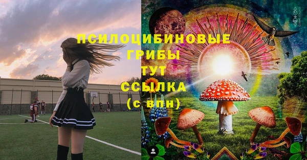 гидропоника Абдулино