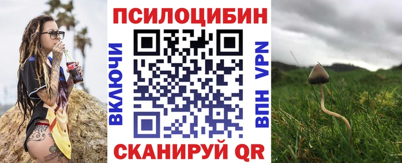 Псилоцибиновые грибы мицелий  Клинцы 